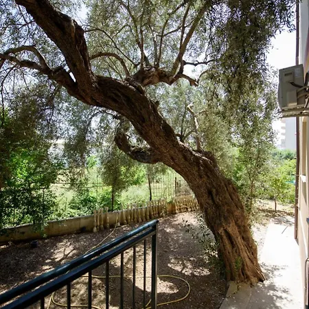 Hotel apartamentowy Olivium Wlora