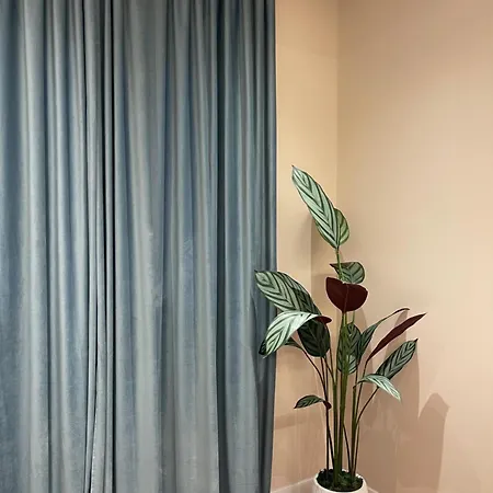 Olivium 3* Vlorë